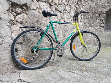 Mtb Orion revisionata