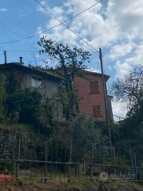 Casa indipendente