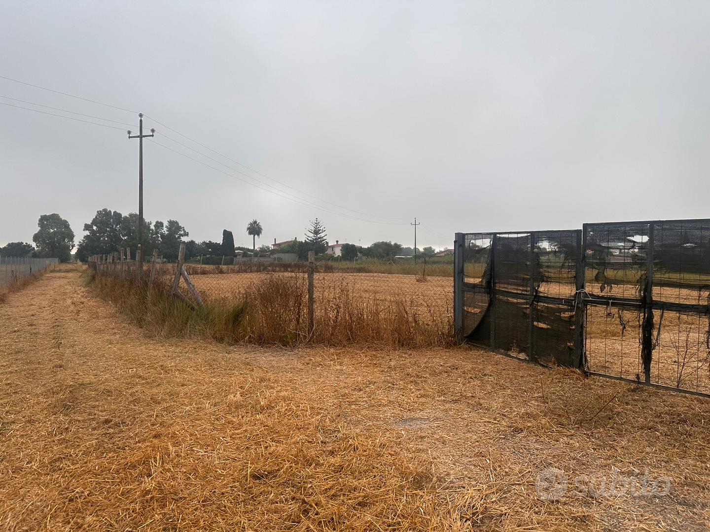 Terreno agricolo - Vista 5