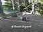 Immagine 26