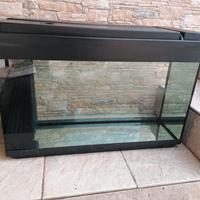 acquario 80 litri