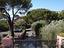 Immagine 8