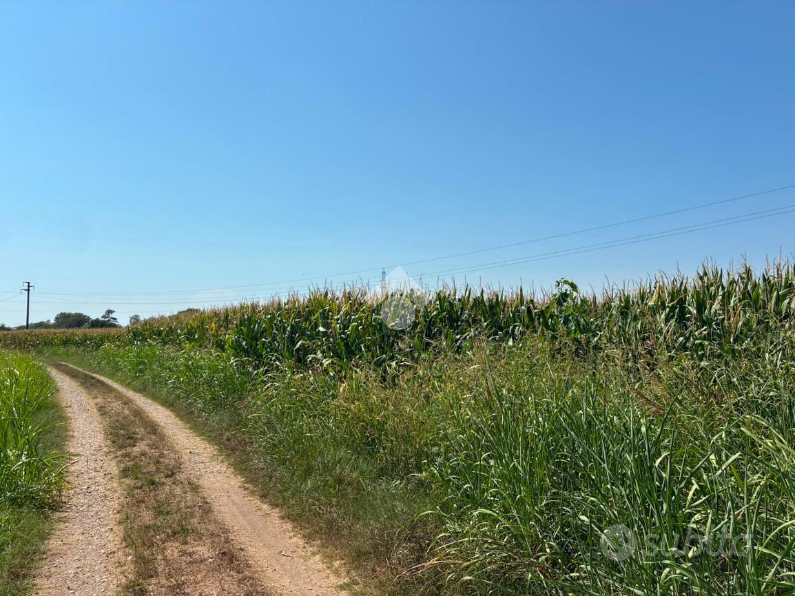 TER. AGRICOLO A ALBAIRATE - Vista 5