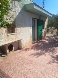 Terreno agricolo con frutteto e uliveto