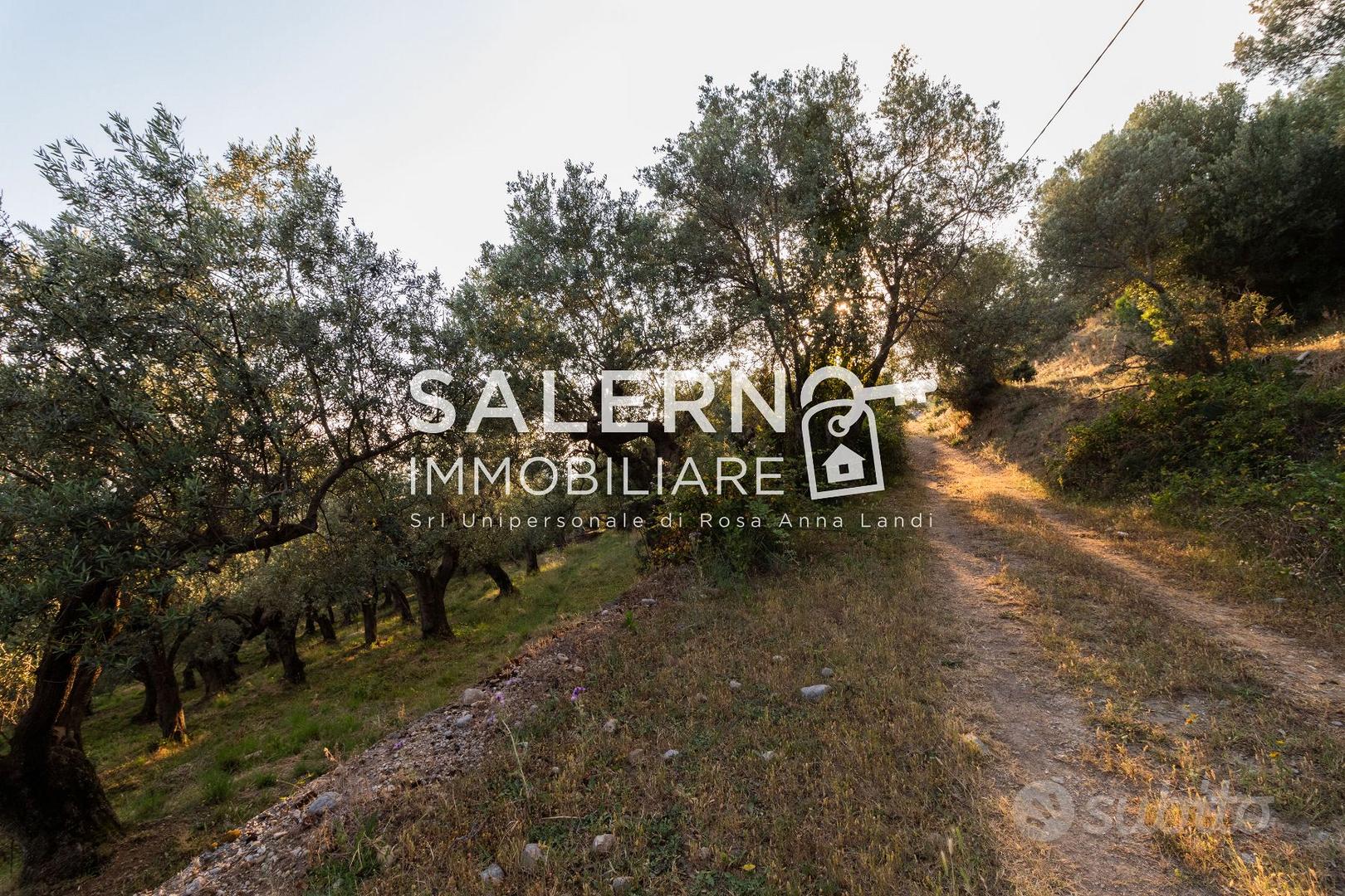 SAN LEONARDO – Terreno edificabile - Altro