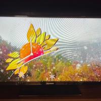 TV 32 pollici con decoder