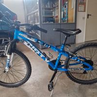 Mountain bike bambino