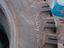 Immagine 6