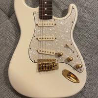 Chitarra Stratocaster Musikraft Lollar Special