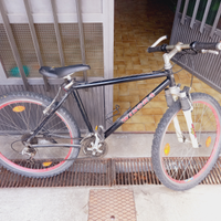 Mountain bike winora