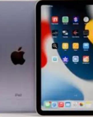 Mini Ipad 6