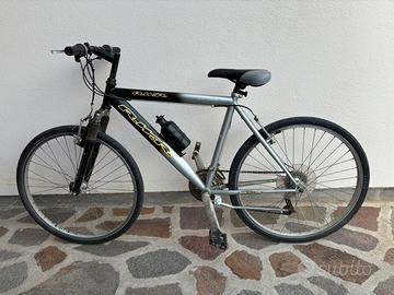 Bicicletta ruote 26
