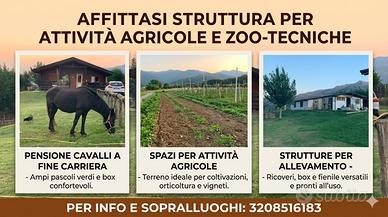 Attività agricola e/o animale