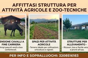 Attività agricola e/o animale