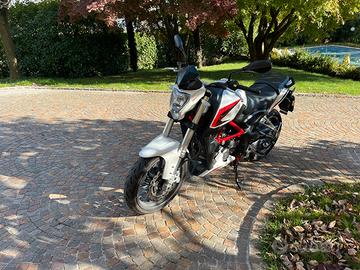 Benelli bn 251