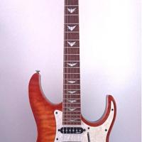 Chitarra Elettrica Schecter Banshee Extreme 6