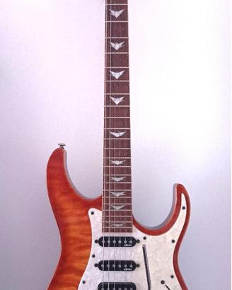 Chitarra Elettrica Schecter Banshee Extreme 6