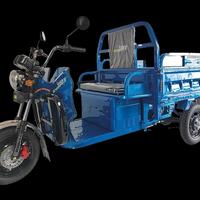 MOTOCARRO ELETTRICO RIBALTABILE 100% Elettrico