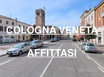 Cologna veneta-trilocale