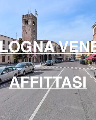 Cologna veneta-trilocale