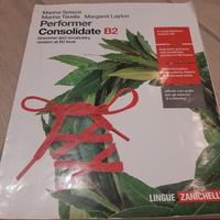 Performer  Consolidate B2