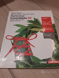 Performer  Consolidate B2