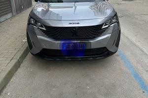 Peugeot 3008 Van