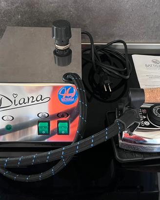 Ferro da stiro professionale