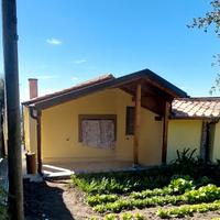 gazebo pergola tetti in legno lamellare 