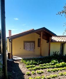 gazebo pergola tetti in legno lamellare 