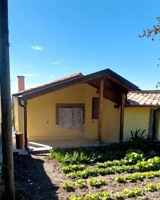 gazebo pergola tetti in legno lamellare 