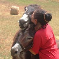 Online English tutor