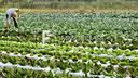 azienda-agricola-cavallino-treporti