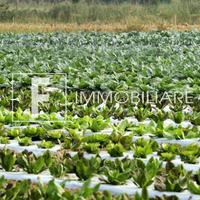 Azienda Agricola - Cavallino-Treporti