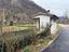 Immagine 6