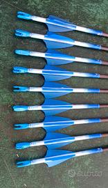 Frecce X10 protour 