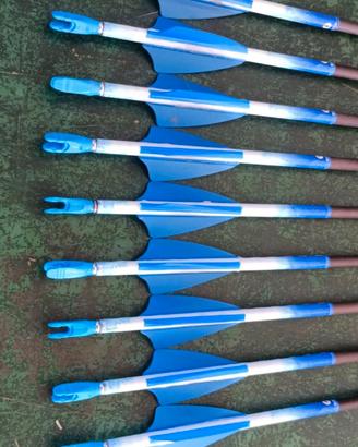 Frecce X10 protour 
