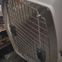 Trasportino cani taglia grande