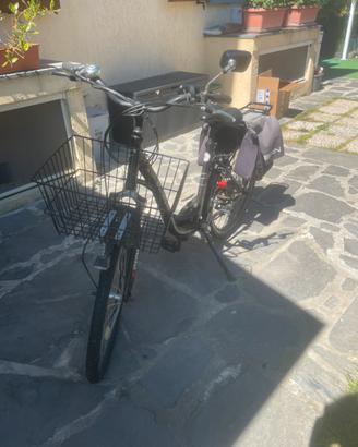 Bicicletta elettrica