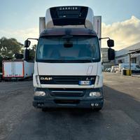 DAF 11990 ISOTERMICO FRC x 9 ANNI euro 5