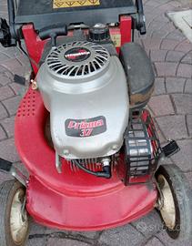 Tosaerba Harry a benzina