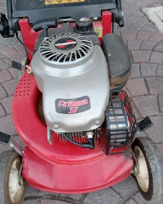 Tosaerba Harry a benzina