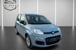 Fiat Panda 1.2 Lounge 69 CV benzina 12/2020