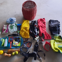 Collari giochi pettorina