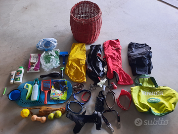 Collari giochi pettorina