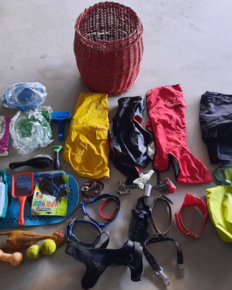 Collari giochi pettorina