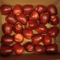 Mele finte bellissime