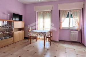 Appartamento - Campobasso