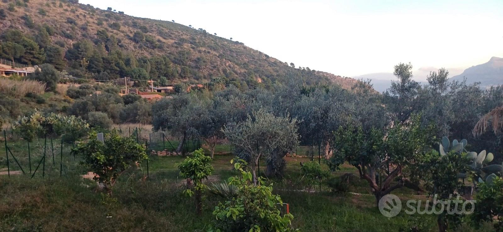 Terreno panoramico con casetta rurale Ter/37 - Vista 5
