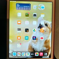 Apple iPad mini 4 SIM color oro come nuovo